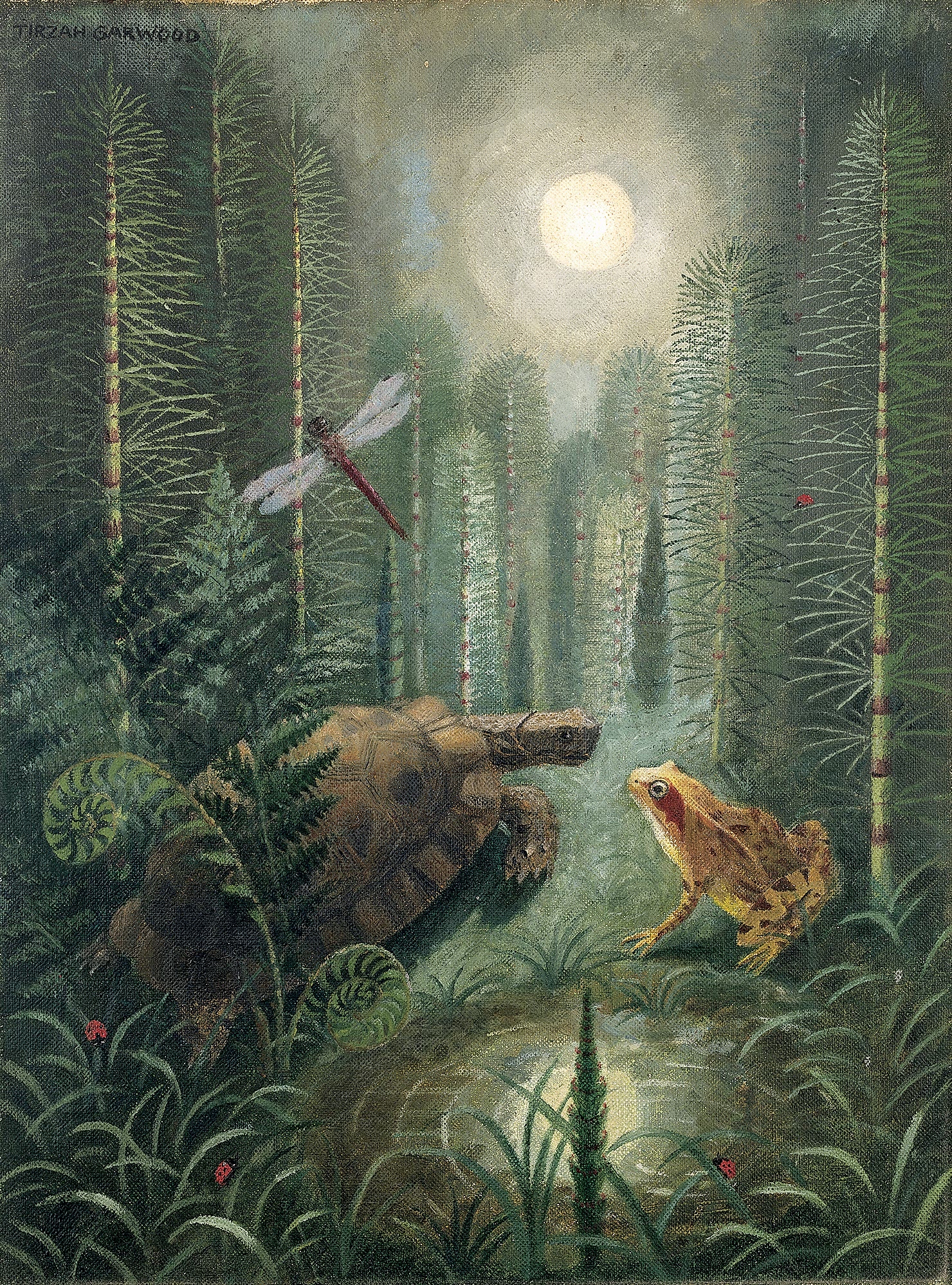 An atmospheric forest scene in moonlight with a tortoise, frog and dragonfly under a full moon reflected in a pool behind.