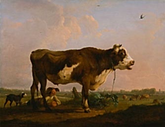 An Ox