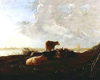 Cattle near a River