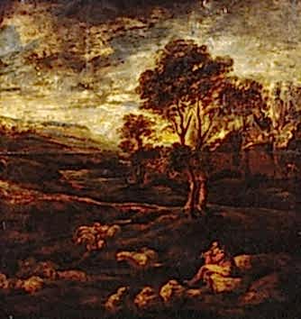 Evening Landscape