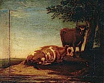 Cattle