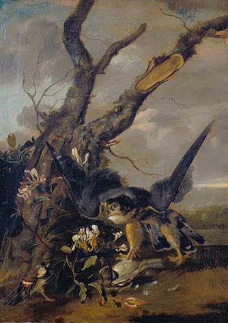 Hawk and Sparrows
