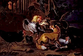 Fox and Poultry