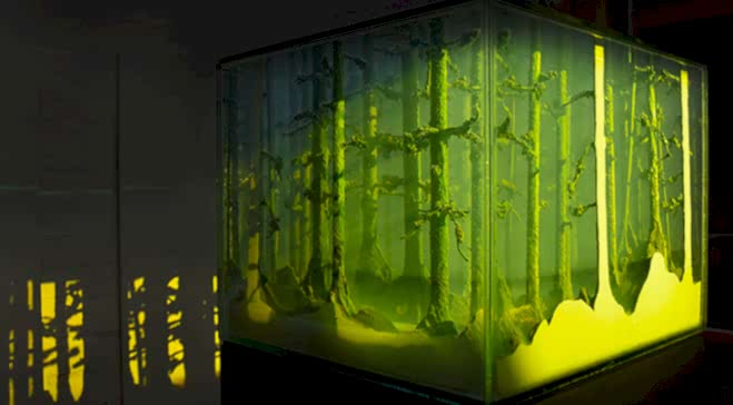  Dulwich Picture Gallery commissions immersive installation by Mariele Neudecker 
