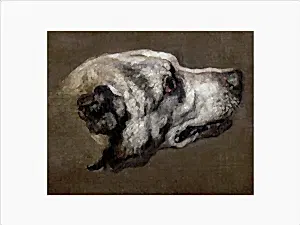 Head of a Hound